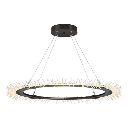 Anemone Anemone Circular LED Pendant in Oil Rubbed Bronze (39|139772-LED-STND-14)
