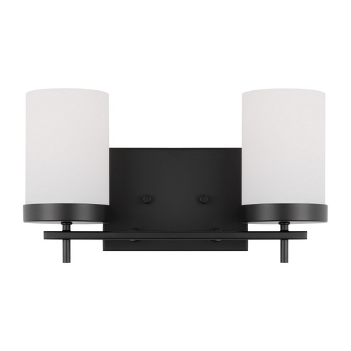 Zire Two Light Bath in Midnight Black (454|4490302-112)