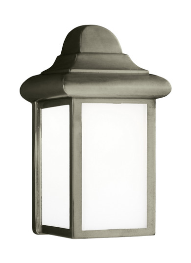 Mullberry Hill One Light Outdoor Wall Lantern in Pewter (1|8988EN3-155)