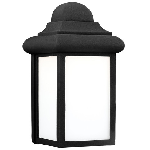 Mullberry Hill One Light Outdoor Wall Lantern in Black (1|8788-12)