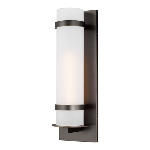 Alban One Light Outdoor Wall Lantern in Antique Bronze (1|8718301-71)