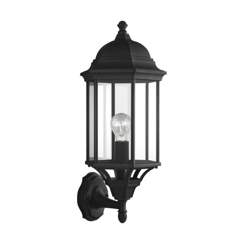 Sevier One Light Outdoor Wall Lantern in Black (1|8638701-12)
