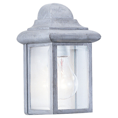Mullberry Hill One Light Outdoor Wall Lantern in Pewter (1|8588-155)