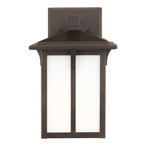 Tomek One Light Outdoor Wall Lantern in Antique Bronze (1|8552701-71)