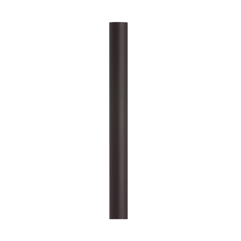 Outdoor Posts Post in Antique Bronze (1|8101-71)