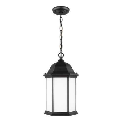 Sevier One Light Outdoor Pendant in Black (1|6238751-12)