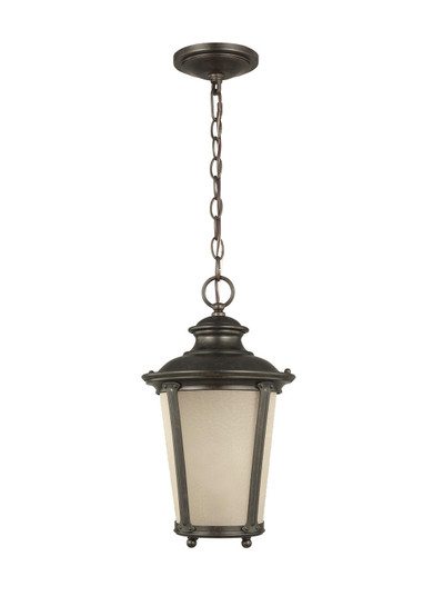 Cape May One Light Outdoor Pendant in Burled Iron (1|62240EN3-780)