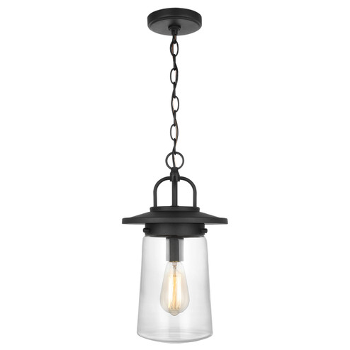 Tybee One Light Outdoor Pendant in Black (1|6208901-12)