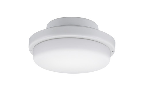 TriAire Custom One Light Fan Light Kit in Matte White (26|LK8514MWW)