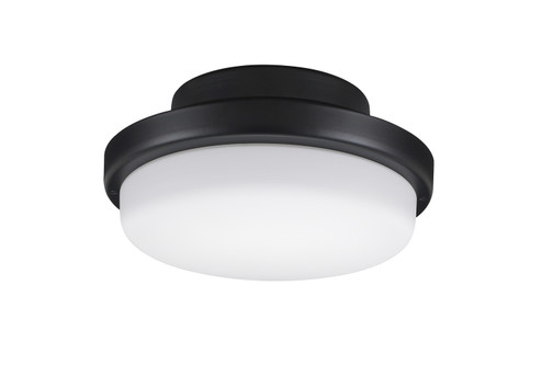 TriAire Custom One Light Fan Light Kit in Black (26|LK8514BLW)