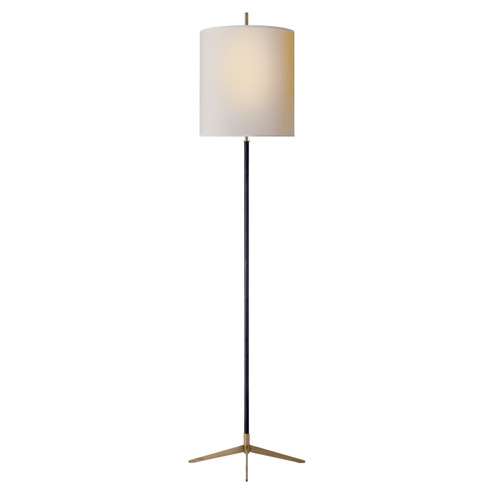 Caron Two Light Floor Lamp in Bronze With Antique Brass (268|TOB 1153BZ/HAB-NP)