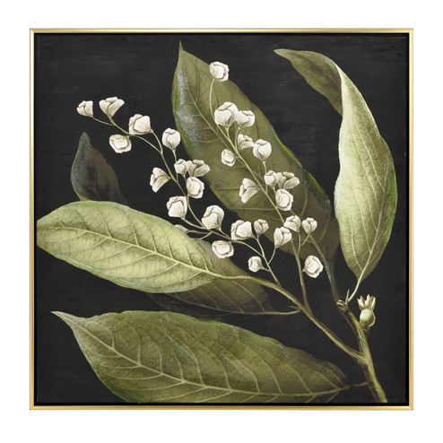 Botanical Study Framed Wall Art in Green (45|S0016-10168)