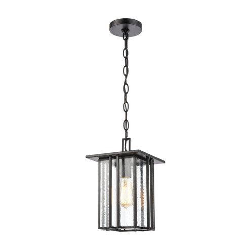 Radnor One Light Outdoor Pendant in Matte Black (45|46693/1)