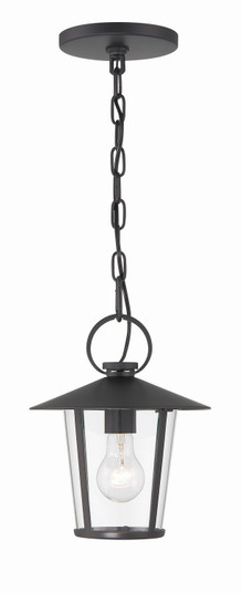 Andover One Light Outdoor Chandelier in Matte Black (60|AND-9203-CL-MK)