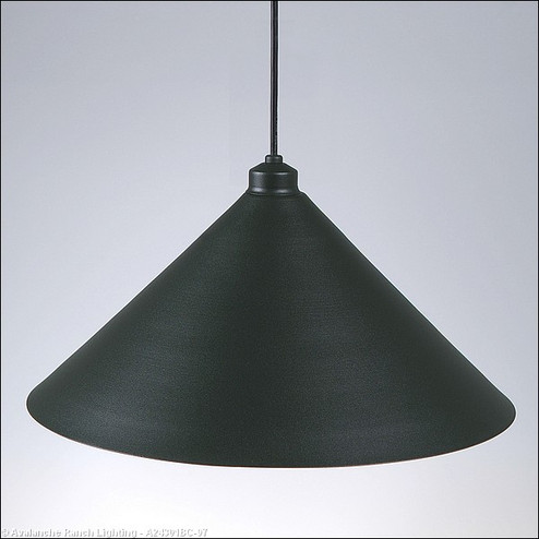 Canyon Black Iron One Light Pendant in Black Iron (172|A24301BC-97)