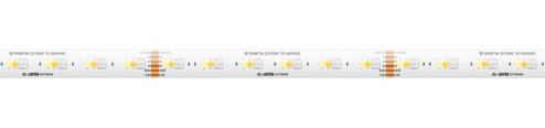 Spec Grade Tape Light in White (303|SPTL-RGBTW)