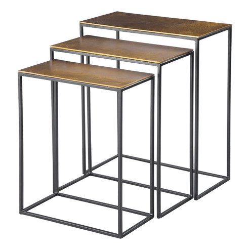 Coreene Nesting Tables, Set/3 in Aged Black Iron (52|25050)