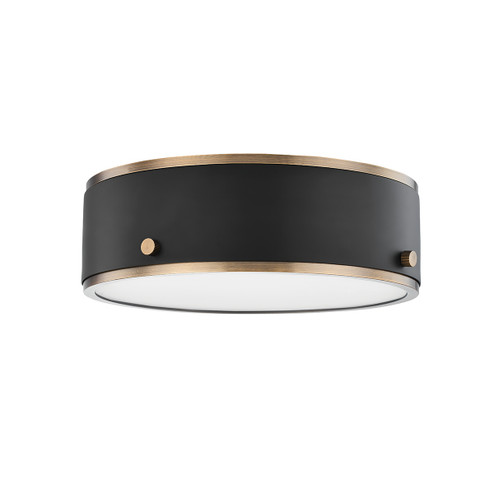Eli LED Flush Mount in Patina Brass (67|C8312-PBR/SFB)