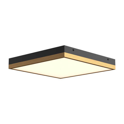 Sydney LED Flush Mount in Aged Gold/Matte Black (452|FM553214AGMB)