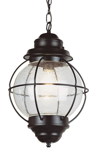 Catalina One Light Hanging Lantern in Black (110|69903 BK)
