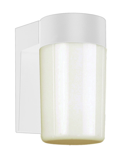 Pershing One Light Wall Lantern in White (110|4810 WH)