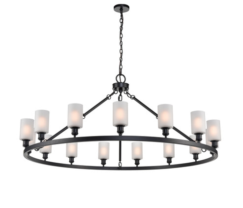 Ballston 20 Light Chandelier in Matte Black (405|860-BK-G804)