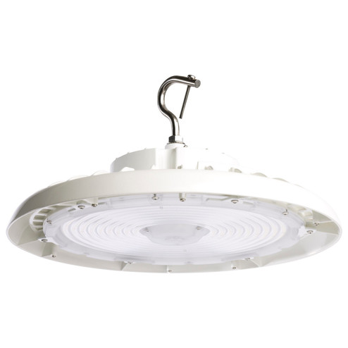 LED High Bay in White (72|65-796R2)
