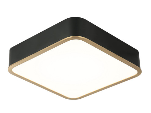 Ainslay LED Ceiling Mount in Black + Aged Gold Brass (423|M10542BKAG)