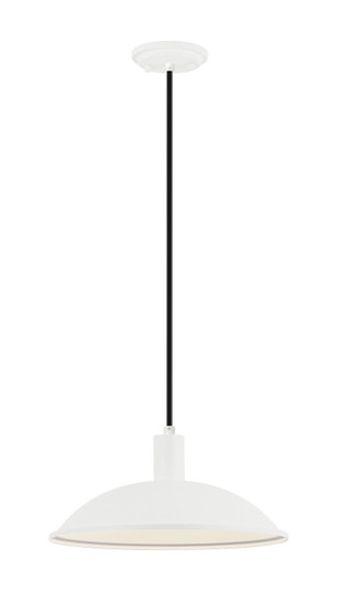 FARMLEY One Light Pendant in Matte White (423|C81901MW)
