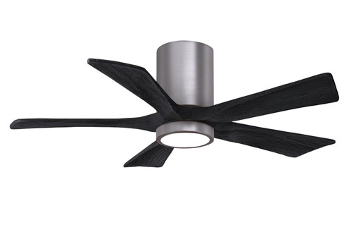 Irene-5HLK 42''Ceiling Fan in Brushed Pewter (101|IR5HLK-BP-BK-42)