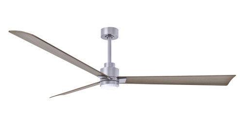 Alessandra - LK 72''Ceiling Fan in Brushed Nickel (101|AKLK-BN-GA-72)