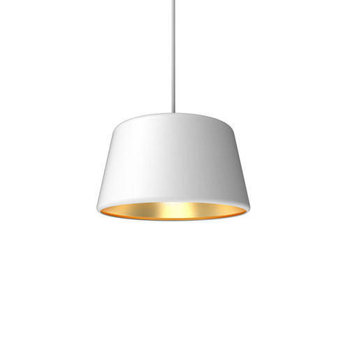 Pillbox Pendant in Gold (326|SP-PBX-SO-10-WG-NAK-E26-SP5)