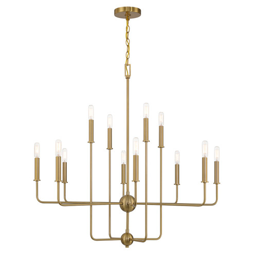 Avondale 12 Light Chandelier in Warm Brass (51|1-4046-12-322)