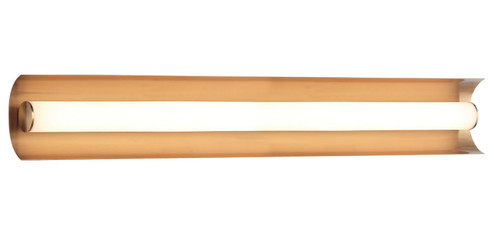 NORVAN LED Wall Sconce in Aged Gold Brass (423|S02924AG)