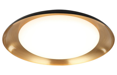 Lalonde LED Ceiling Mount in Black (423|M12215BKAG)