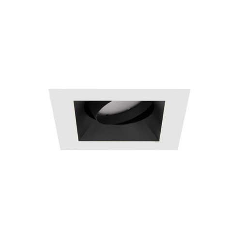 Aether Atomic LED Trim in Black/White (34|R1ASAT-BKWT)