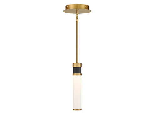 Abel LED Mini Pendant in Matte Black w/Warm Brass Accents (51|7-1643-1-143)