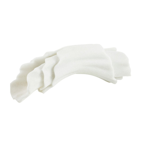 Carnegie Sculpture in Ivory (314|ASC23)