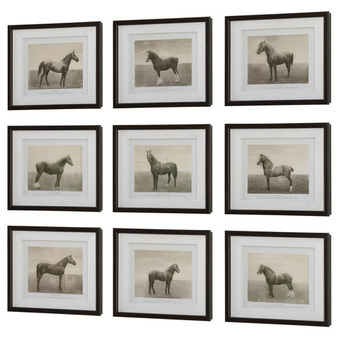 Equine Dynasty Framed Prints, S/9 in Dark Walnut (52|32343)