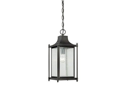 Dunnmore One Light Hanging Lantern in Black (51|5-3455-BK)