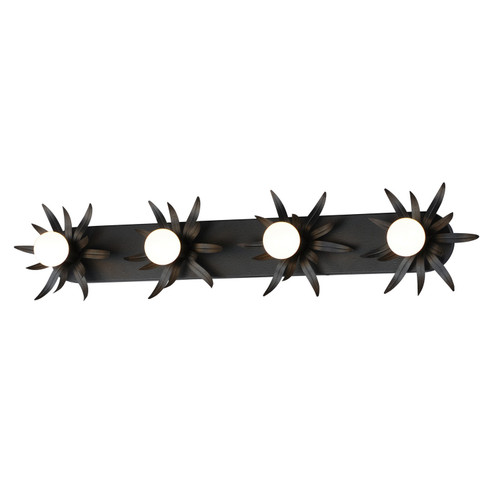 Paloma Four Light Wall Sconce in Anthracite (16|2887AR)