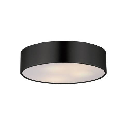 Tommy Three Light Surface Mount in Black (16|10496WTBK)