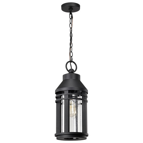 Wilton One Light Hanging Lantern in Matte Black (72|60-8104)