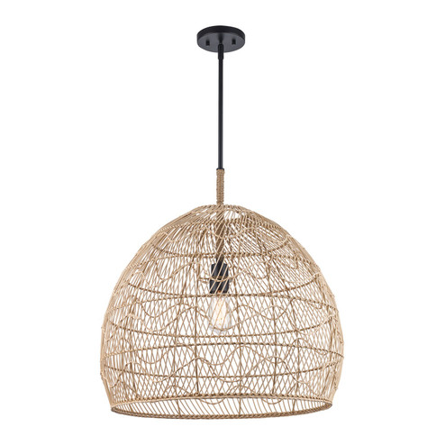 Reef One Light Pendant in Black (110|PND-2249 BK)