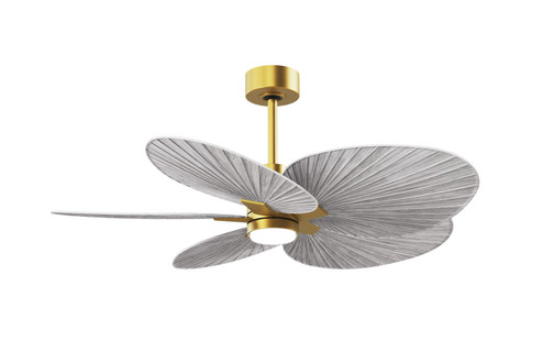 Alessandra Tropical - LK 48'' Ceiling Fan in Brushed Brass (101|AKTPLK-BRBR-BW)