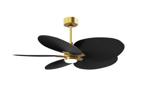 Alessandra Tropical - LK 48'' Ceiling Fan in Brushed Brass (101|AKTPLK-BRBR-BK)