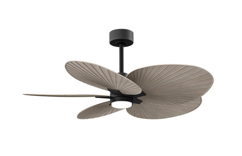 Alessandra Tropical - LK 48'' Ceiling Fan in Matte Black (101|AKTPLK-BK-GA)