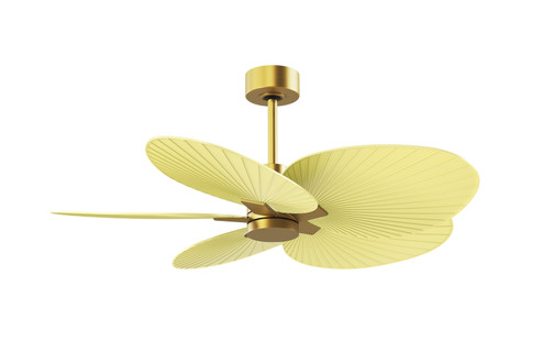 Alessandra Tropical 48'' Ceiling Fan in Brushed Brass (101|AKTP-BRBR-YE)