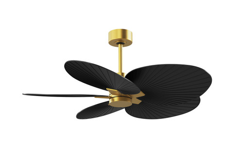 Alessandra TROPICAL 48'' Ceiling Fan in Brushed Brass (101|AKTP-BRBR-BK)