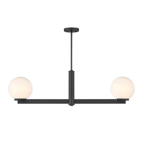 Two Light Linear Chandelier in Matte Black (446|M100124MBK)